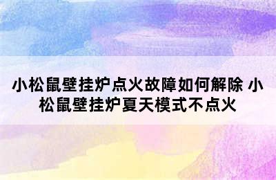 小松鼠壁挂炉点火故障如何解除 小松鼠壁挂炉夏天模式不点火